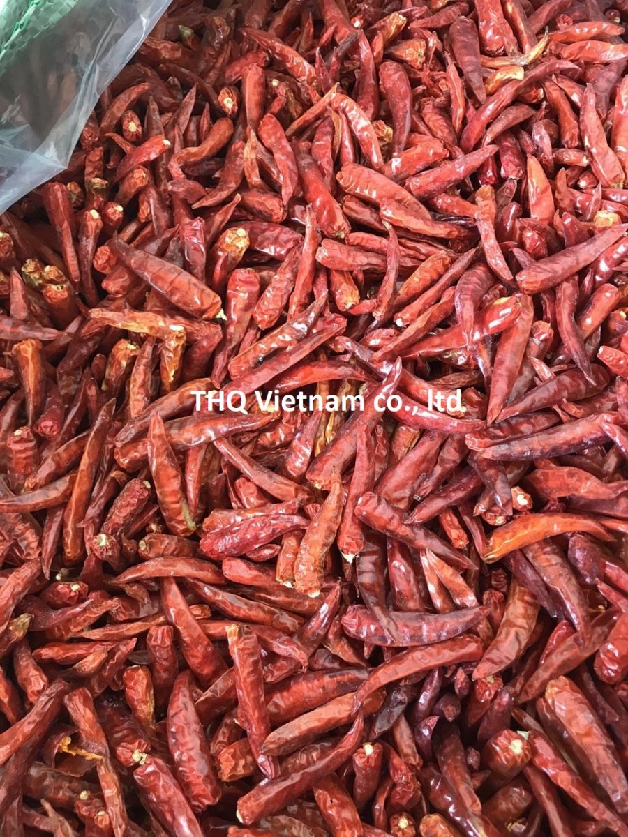 Dried Chilli from Vietnam