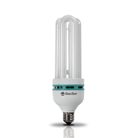 [THQ VIETNAM] Compact fluorescent lamp 40W.S