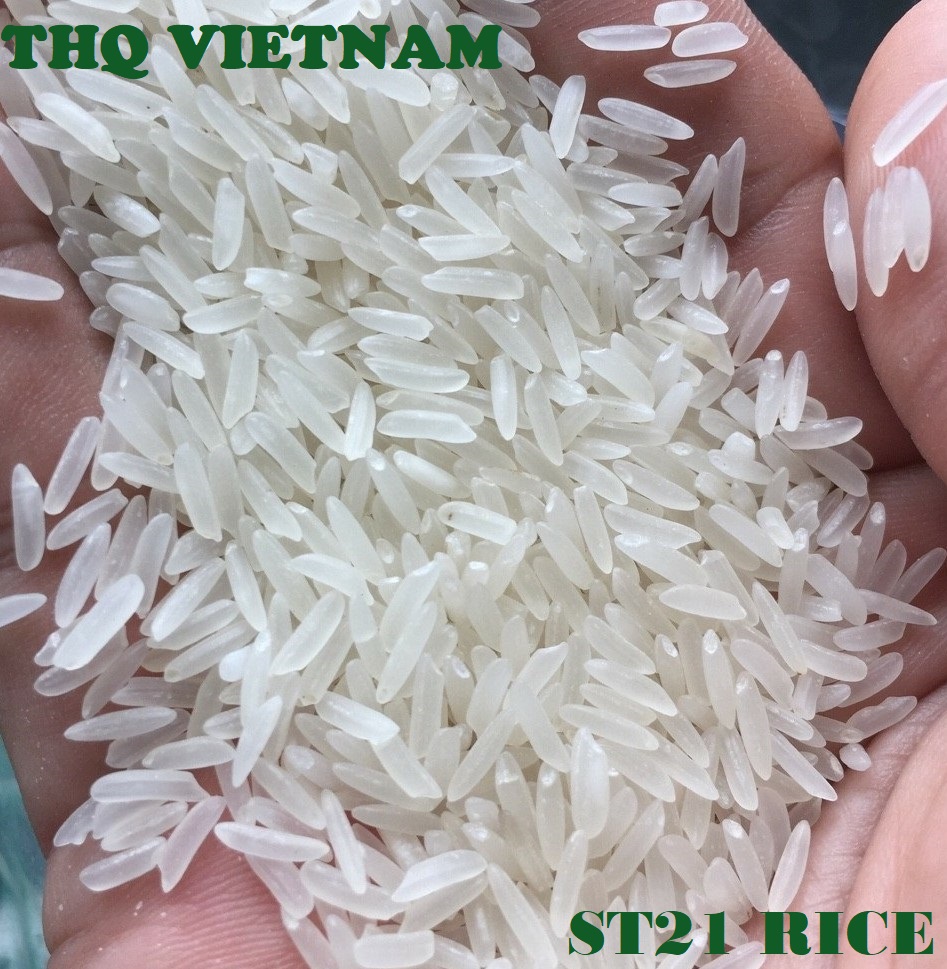 http://www.thqvietnam.com/upload/files/ST21-SQUARE.jpg