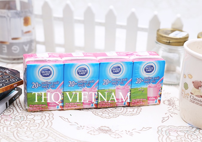 [THQ VIETNAM ] Dutch Lady UHT Milk Straw berry Flavor 110ml*48 boxes