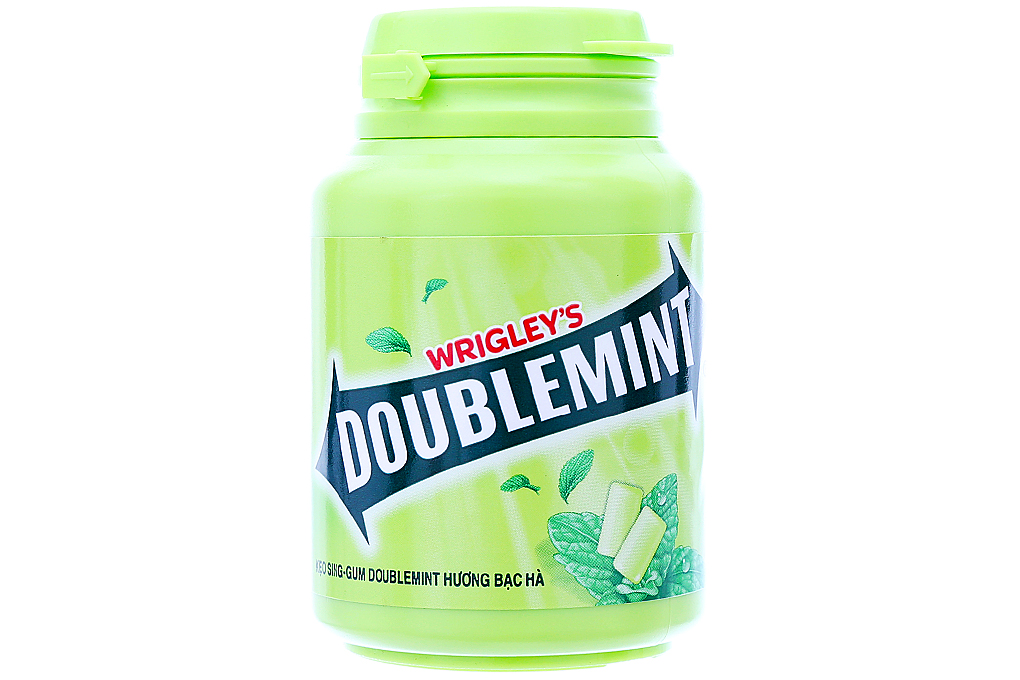 SINGUM DOUBLEMINT Chewing Gum 58gr