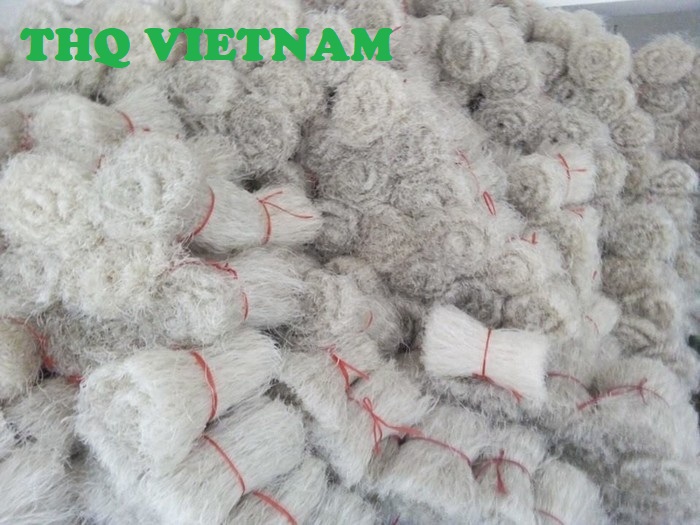 http://www.thqvietnam.com/upload/files/mien%20dong%20binh%20lieu%20qn%201.jpg