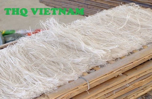 http://www.thqvietnam.com/upload/files/mien%20dong%20binh%20lieu%20qn.jpg