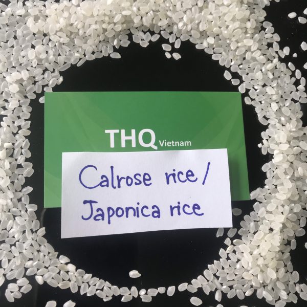 JAPONICA SHORT GRAIN WHITE RICE 5% BROKEN