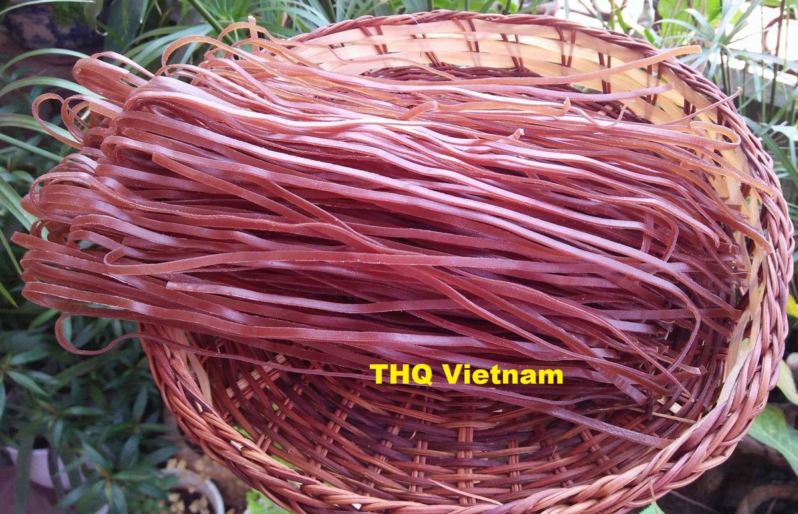 https://www.thqvietnam.com/upload/files/327549368054.jpg